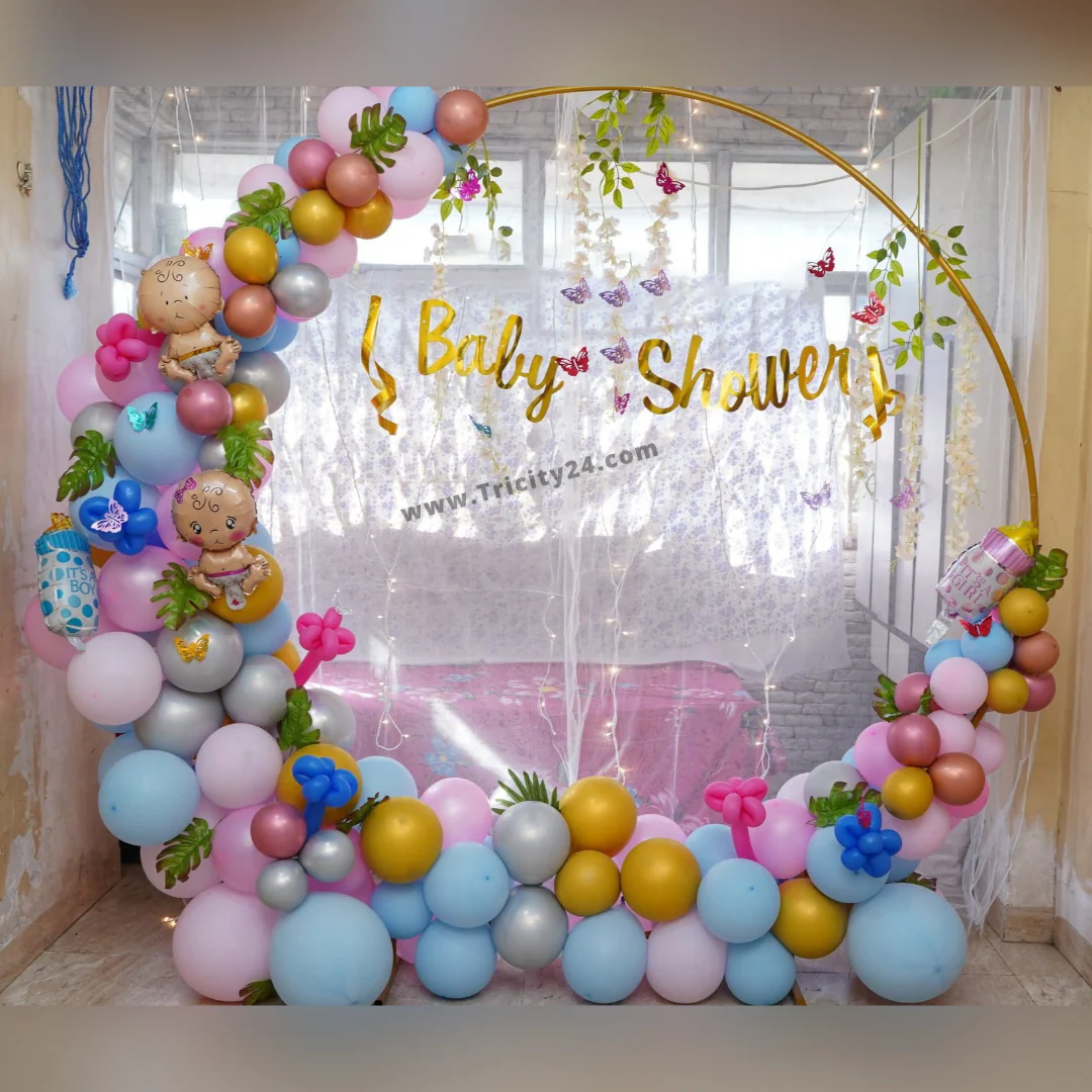 Premium Ring Backdrop Baby Shower